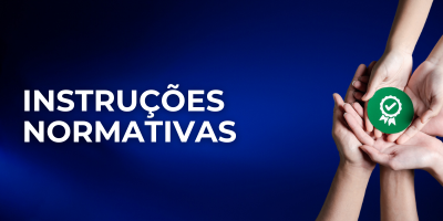 INSTRUÇÕES NORMATIVAS